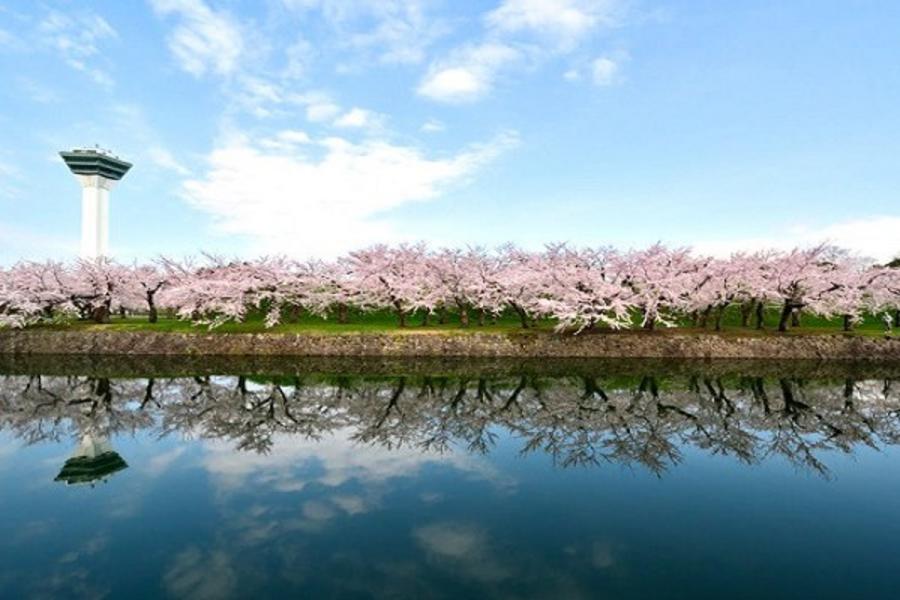 【北海道万惣の宿】璀璨函館、海洋尼克斯、粉櫻好食光5日