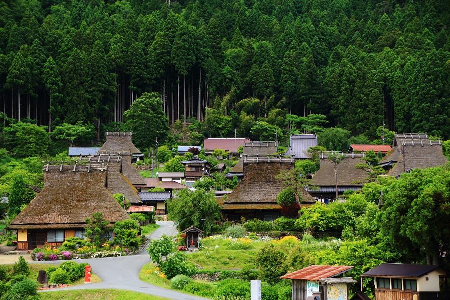 【丹後關西】神戶有馬天橋立京都美山町嵐山大阪散策5日