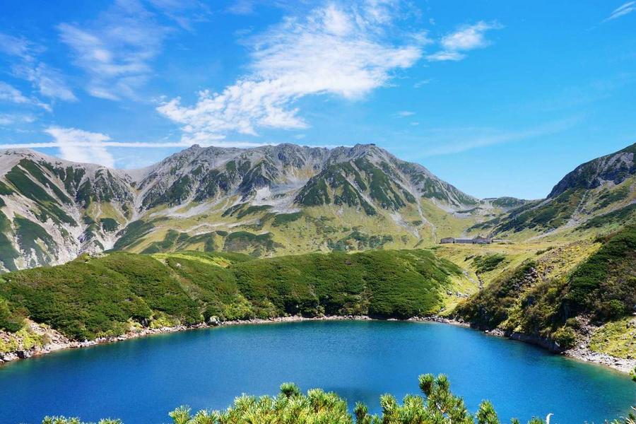 富靜玉露、立山鬱金香、濱名湖清水港、上高地合掌村5日