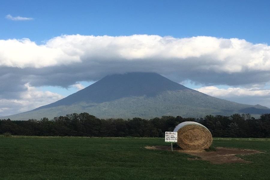 【北海道超享樂】二世谷希爾頓.留壽都渡假村.小樽LeTAO下午茶5日