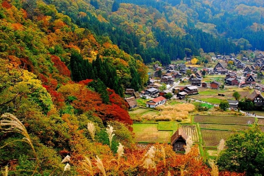 ★秋戀立山★森林上高地童話合掌村美食三小點雲場池輕井澤冰淇淋溫泉5日