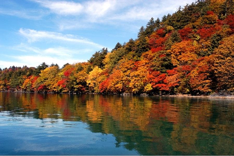 【秋篇奧瀨溪】青森蘋果.新幹線.十和田.嚴美溪.五色沼.松島.東京6日