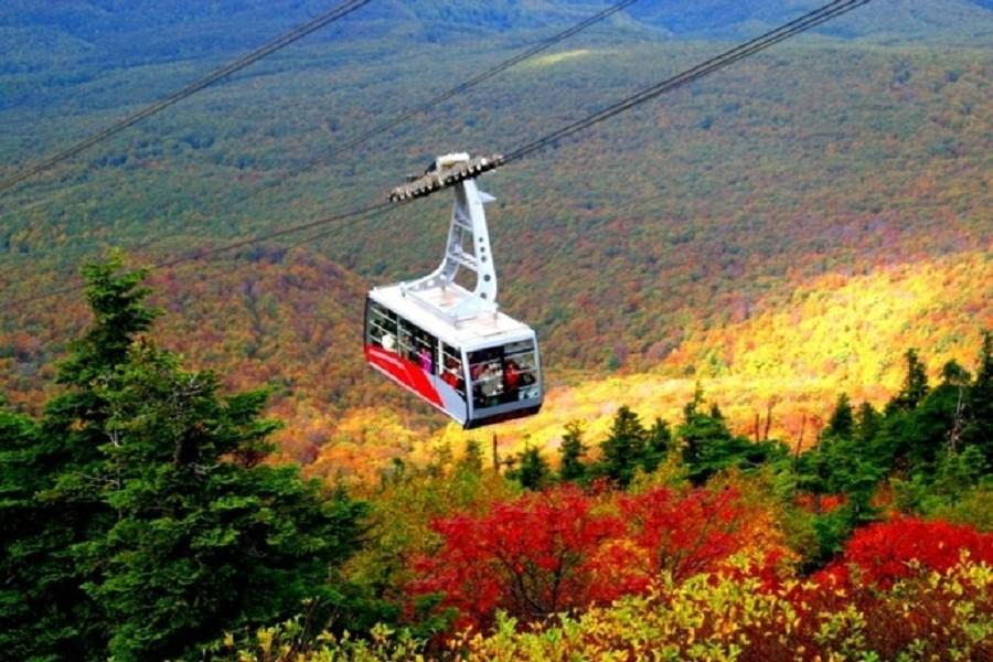【東北秘境森呼吸】千本鳥居不思議、男鹿生鬼體驗、奧入瀨八甲田山5日