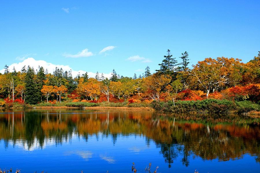 【秋趣北海道】希爾頓渡假村.函館山夜景.秋意神仙沼.豐平峽邂逅紅葉5日