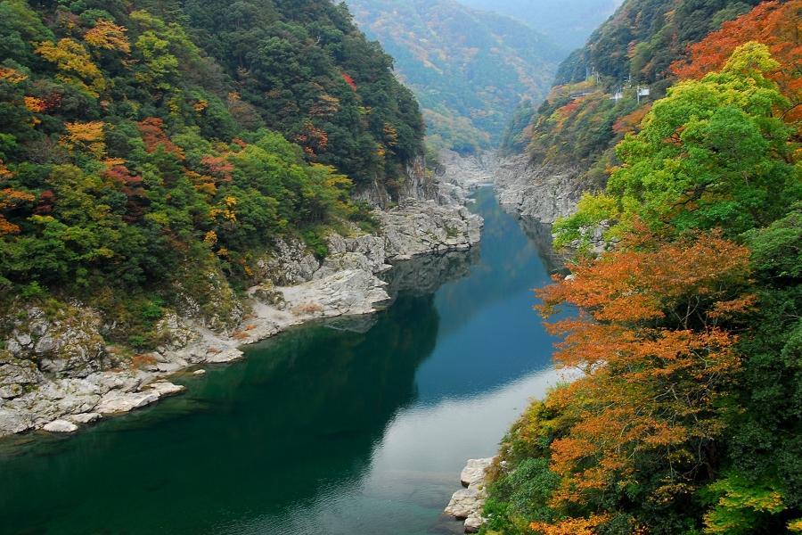 秋賞四國、少爺列車、大步危、祖谷藤橋、倉敷美觀、岡山後樂園、姬路城5日