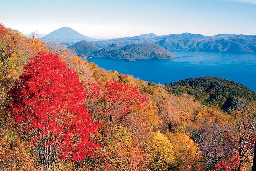 【北海道楓采翩翩】尼克斯海洋公園.函館山百萬夜景.黑岳纜車.豐平峽6日