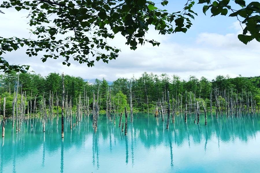 【北海道東漫遊.鄂霍次克海鐵道】夢幻青池.薰衣草DIY.採果體驗6日