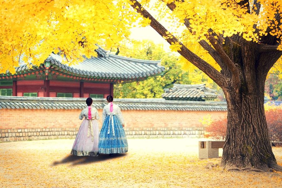 哈韓中秋烤肉趣~愛寶樂園、跑跑人體驗、普羅旺斯、文青益善洞、塗鴨秀4日