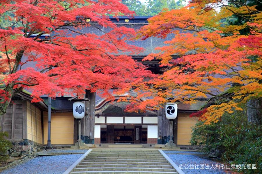 《楓雅南紀》珍愛紀州~秋意高野山.紅葉之谷空中漫步5日