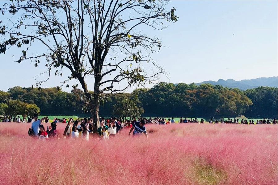 【國慶連休】釜慶~韓服遊韓屋、鐵道自行車、草莓酒莊、汗蒸幕、五花飯店