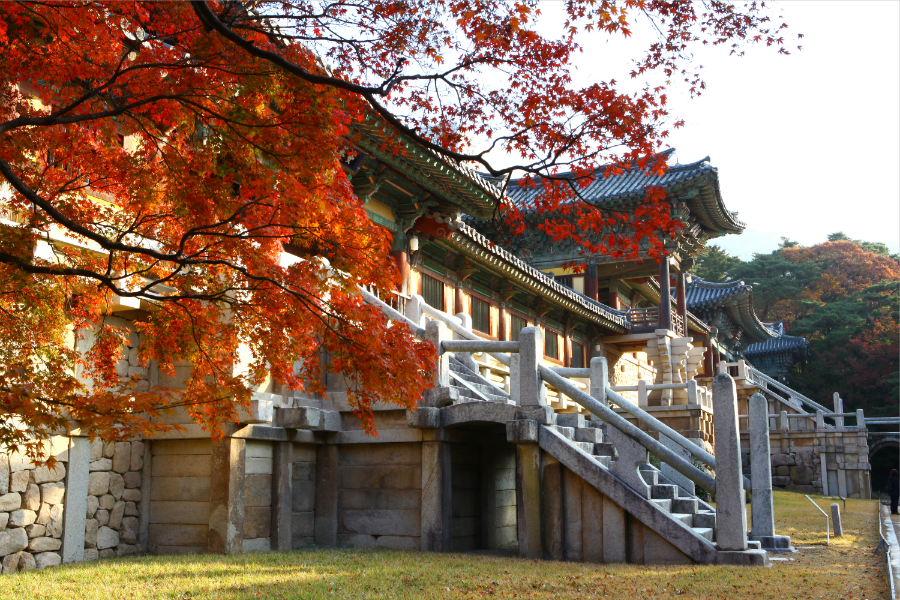 釜山玩很大~農村採果樂、馬飛亭璧畫村、 薰香花園、泰迪熊5日【早晚】