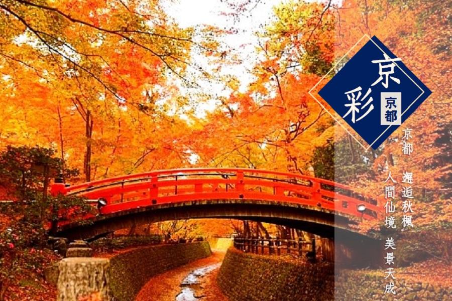 《楓雅紅葉谷》秋紅京都.奈良銀杏道.白鷺姬路城.箕面瀑布深秋之旅5日