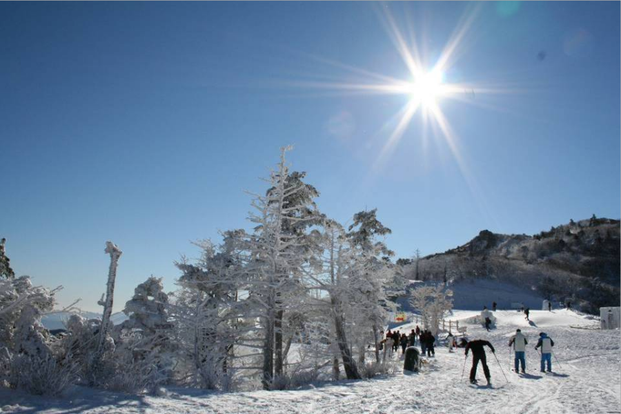 【升等特二五花】冬戀釜慶~伊甸滑雪、文化遺產、下午茶、龍蝦海鮮鍋5日
