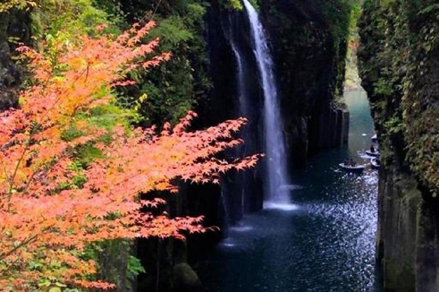 【楓樂南九州】櫻島火山、高千穗峽、磯庭園、霧島神宮、指宿砂浴5日