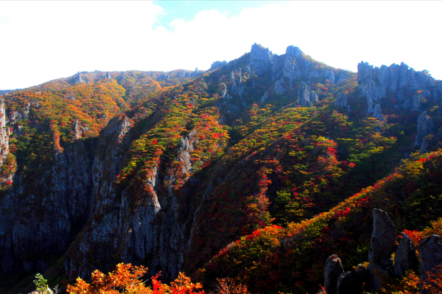 楓遊濟~親親萌鹿、漢拿山楓景、四季花園、樂高、塗鴉秀、活跳跳海鮮鍋5日