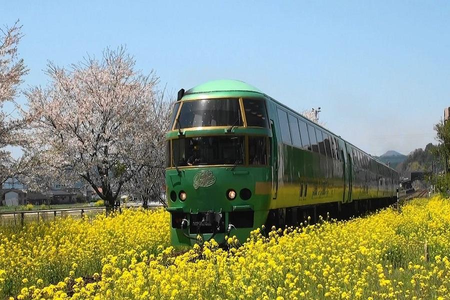 【熊愛九州】由布院之森.九十九島遊船.出島和服體驗.萌熊電車5日