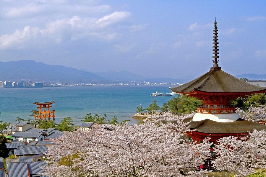 【花見九州四國廣島】湯布院、道後少爺列車、嚴島神社、秋芳洞、食河豚6日