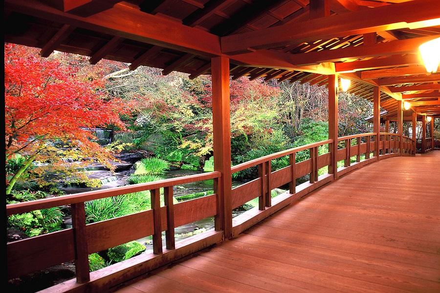 【楓景樂趣】姬路城岡山後樂園神戶有馬箕面山大阪散策5日