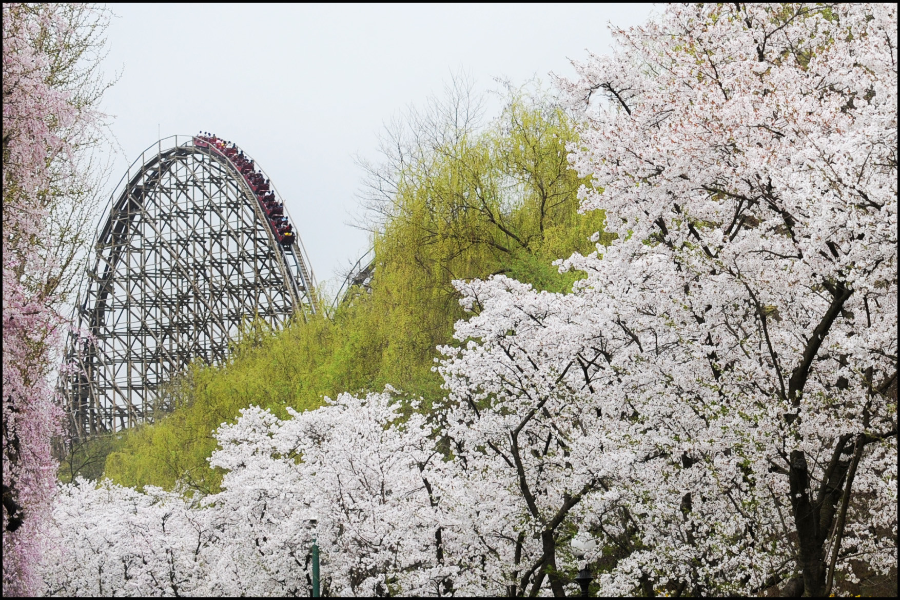 【升等市區】春日饗宴~斜坡滑車、朝陽紡織文青咖啡、冰雪&愛寶樂園5日