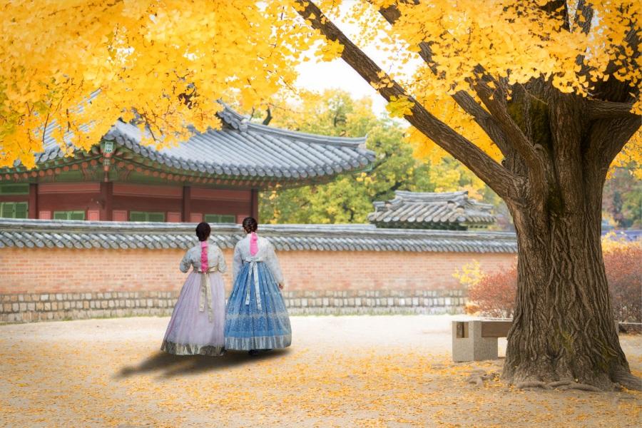 【升等五星希爾頓】韓國變妝遊景福宮.樂天世界.瑞士村.星空圖書館5日