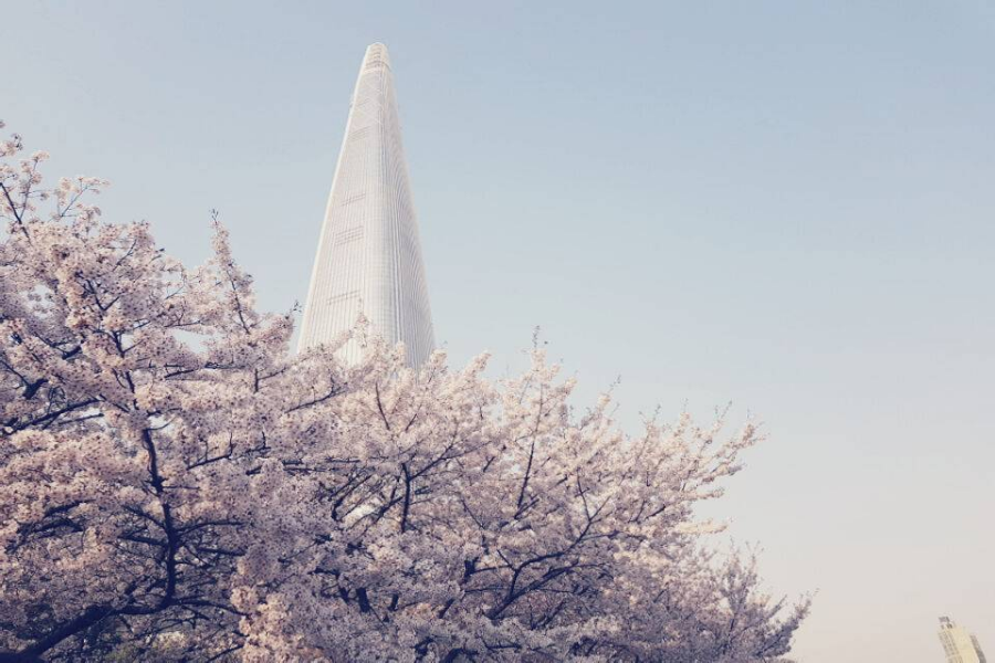 升等市區~首爾7017、星空圖書館 、樂天世界、冰雪樂園、景福宮5日