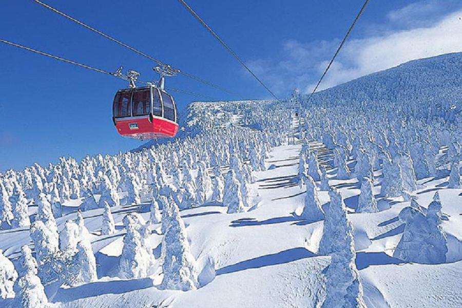 ★戀上樹冰雪★藏王纜車新幹線猊鼻溪船角館鐵道雪盆戲雪採果樂溫泉6日