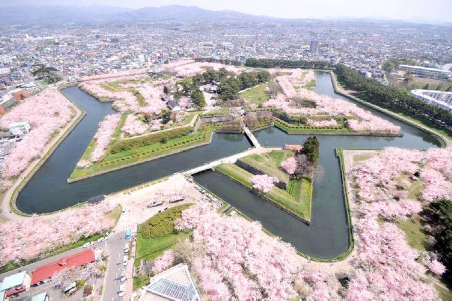 【北海道花漾協奏曲】海灣夜景、鬱見愛琴海、五稜櫻花漫舞5日