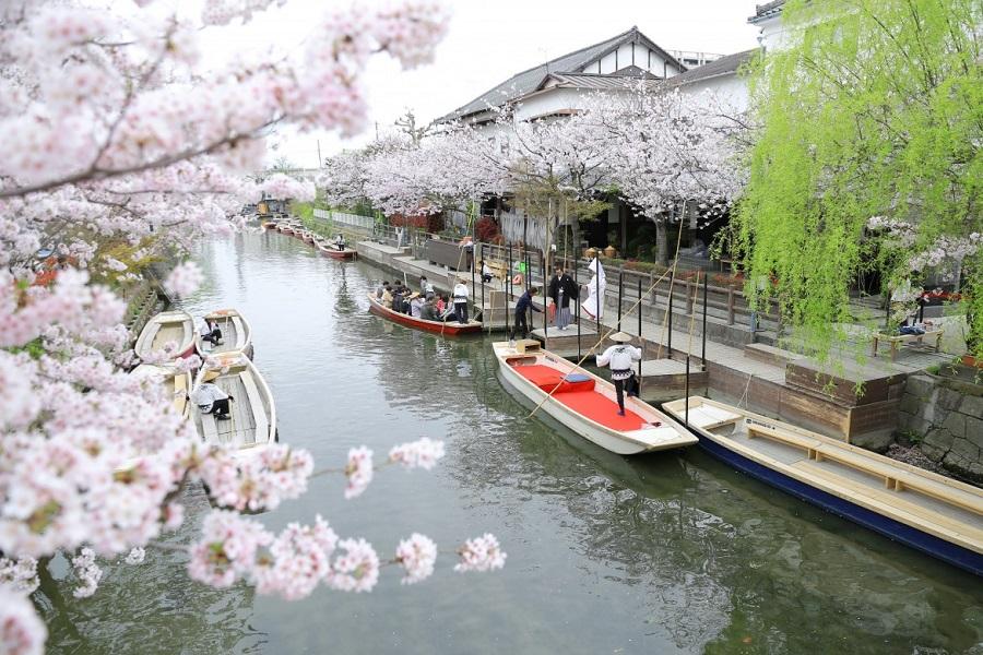【九州櫻木花道】舞鶴公園、御船山、久住花公園、扁舟遊船、鶴見岳纜車5日