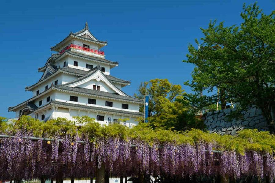 【紫戀豪斯登堡】唐津城紫藤.御船山.柳川扁舟.吉祥寺藤花.唐戶市場六日