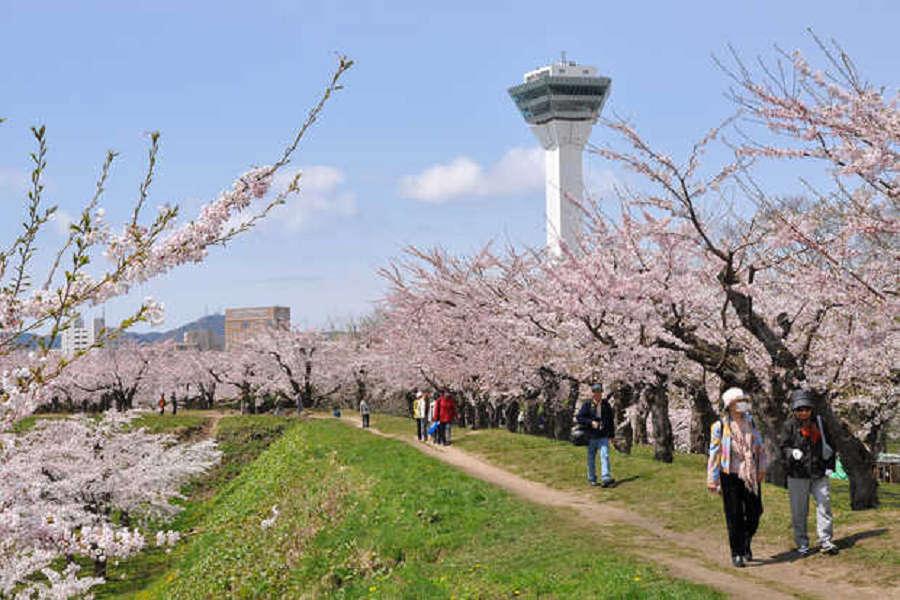 【北海道追櫻超值樂】登別櫻花隧道、函館夜景、三大螃蟹、札幌摩天輪5日