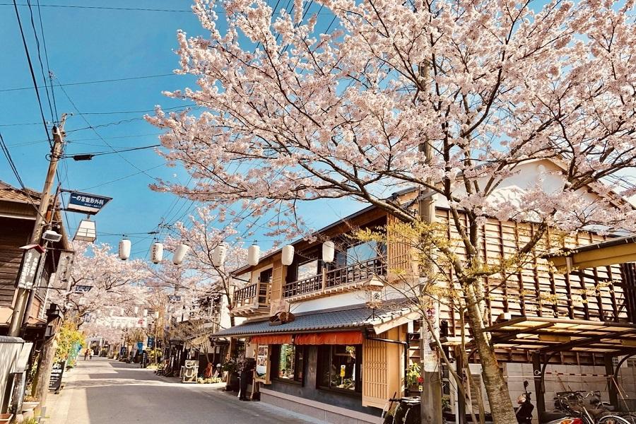 【熊本賞櫻、輕旅行】高千穗峽、宮地湧水群、部長辦公室、福岡熊本逛街5日