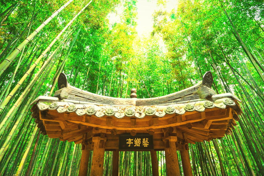 韓國懷舊蒸氣火車.潭陽綠竹園.普羅旺斯.漆谷變妝遊韓屋5日(不進保肝)