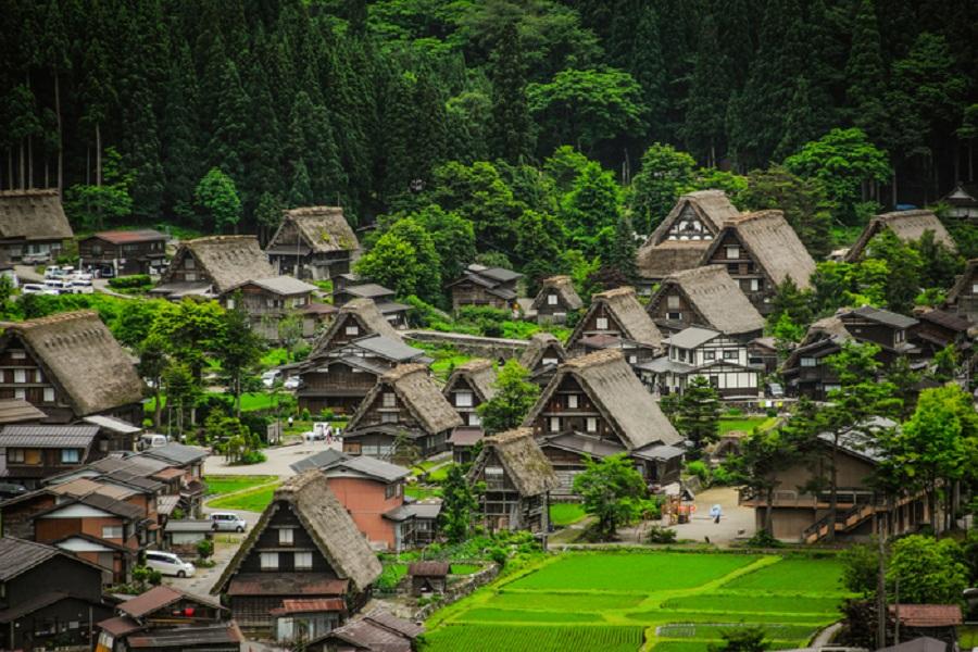 【相遇立山】兼六園立山上高地高山飛驒合掌村名花之里大阪5日