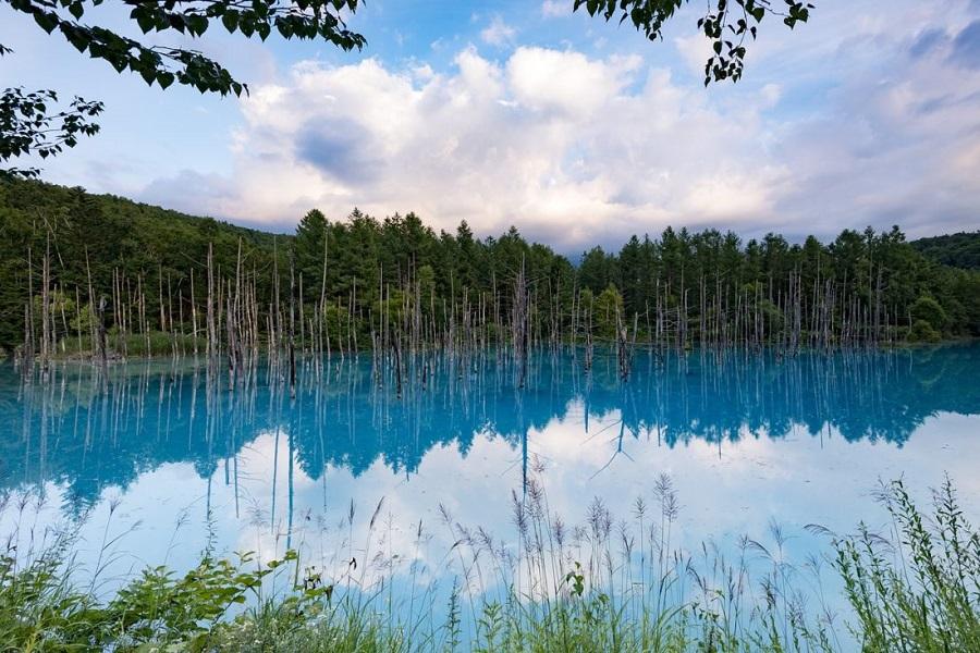 【北海道悠閒旅行】蒂芬尼青池.美瑛.哈蜜瓜.小樽運河.層雲峽溫泉5日