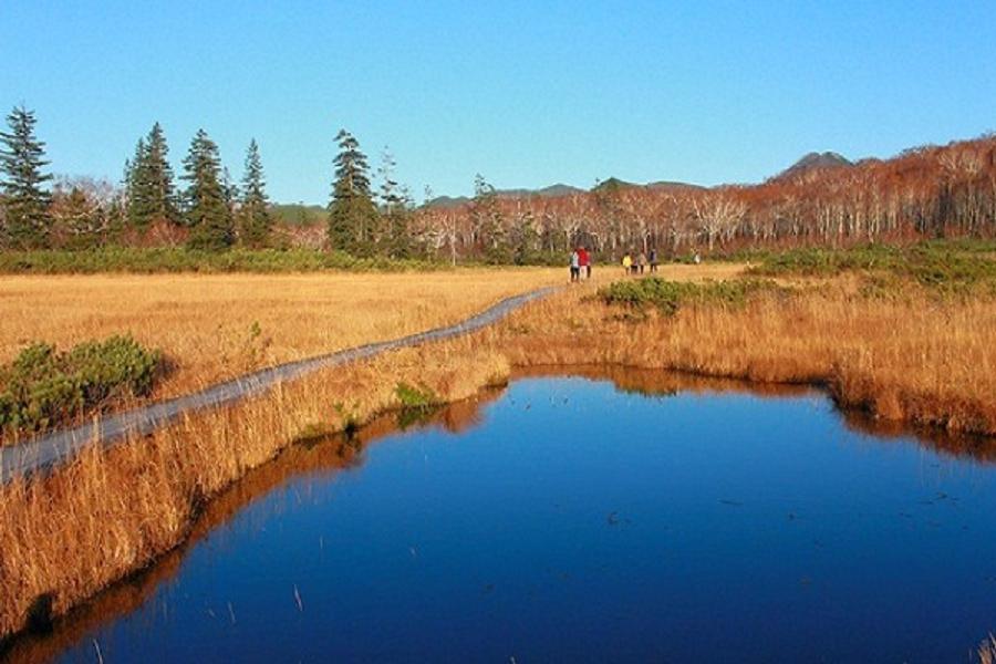 【秋楓好元氣北海道】函館山夜景、紅葉藝術森林、神仙沼好美、和牛螃蟹5日