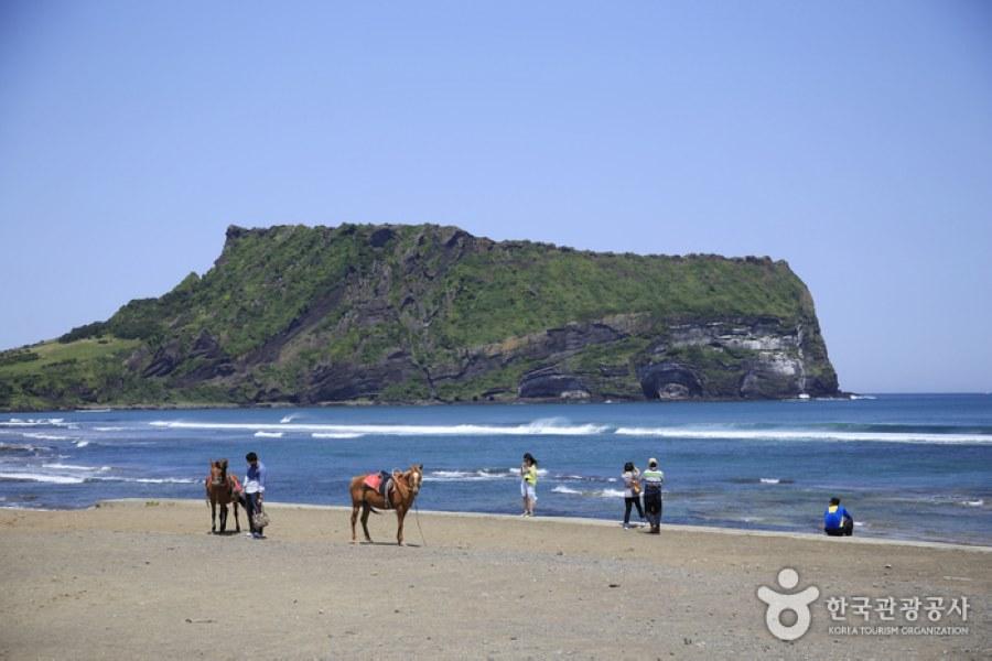 遇見濟州~城山日出峰、鐵道自行車、餵食小鹿、ECOLAND、塗鴉秀5日