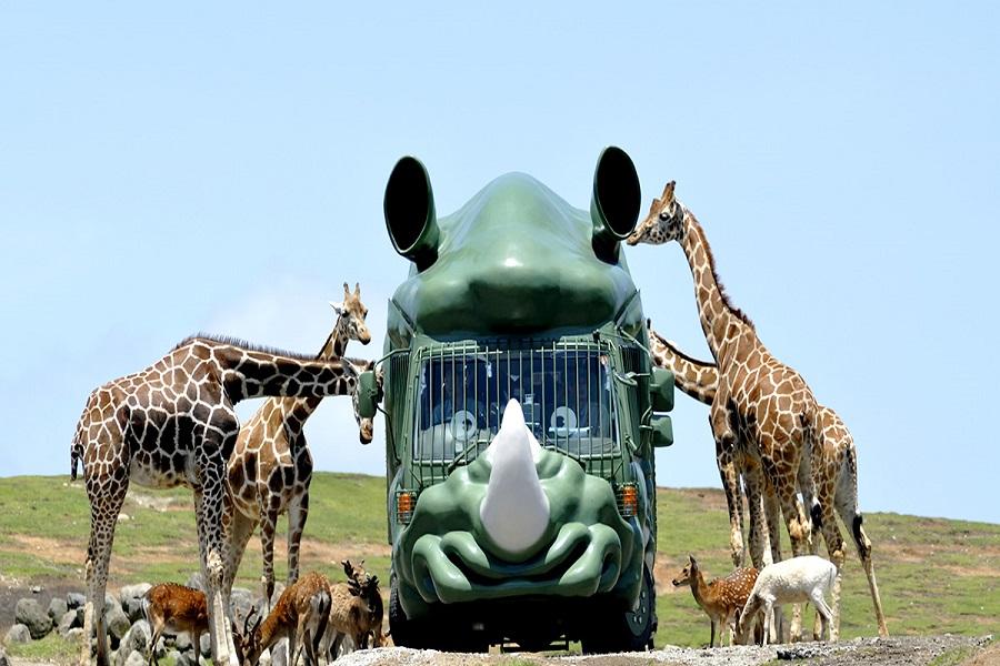 【春節九州玩雪】由布院之森、野生動物園、九十九島、柳川船、黑川散策6日