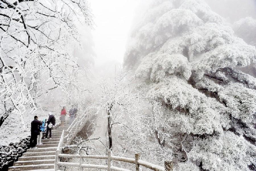 鼠來寶~冬雪童話世界、黃山美景、宏村5日 (贈徽韻秀)
