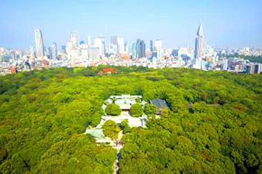 【東京超激安】東京上野酒店自由行5日(台灣虎航)