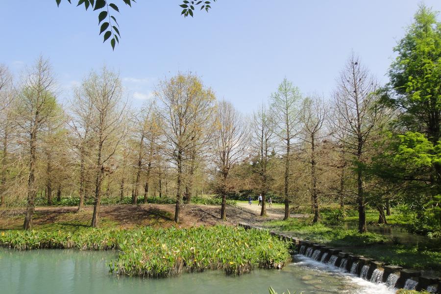 【鐵道之旅】花蓮美侖．太魯閣．雲山水夢幻縱谷二日