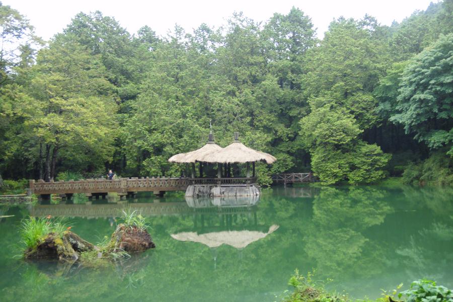 【超值精選】阿里山森情傳說•檜意森活村•水漾日月潭高鐵逍遙三日《高雄出發》