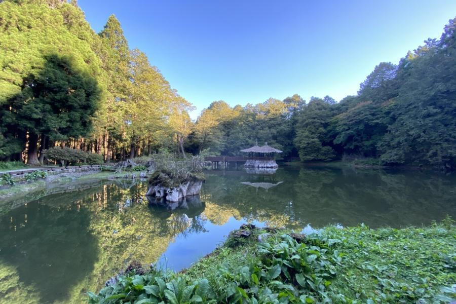 阿里山森情、奮起湖懷舊、檜意森活村~ 高鐡輕鬆遊三日