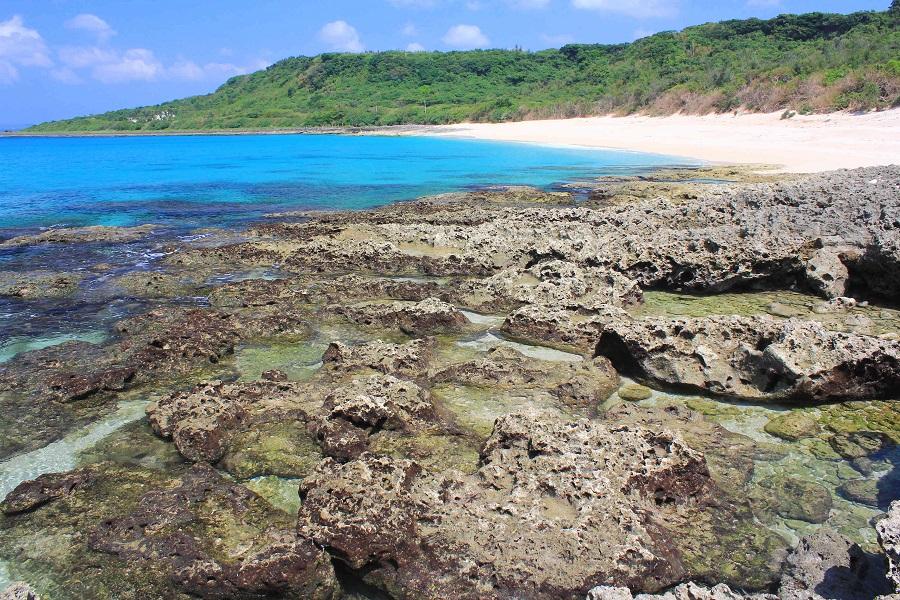 【暢遊山海之旅】阿里山奮起湖‧墾丁海生館/海線遊自由選二日