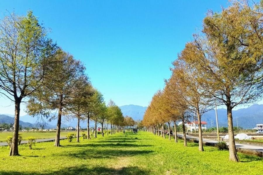 【2019 宜蘭清水地熱公園重新開幕!】東南賓士車.安農溪分洪堰.落羽松祕境.清水地熱公園.長埤湖風景區一日遊