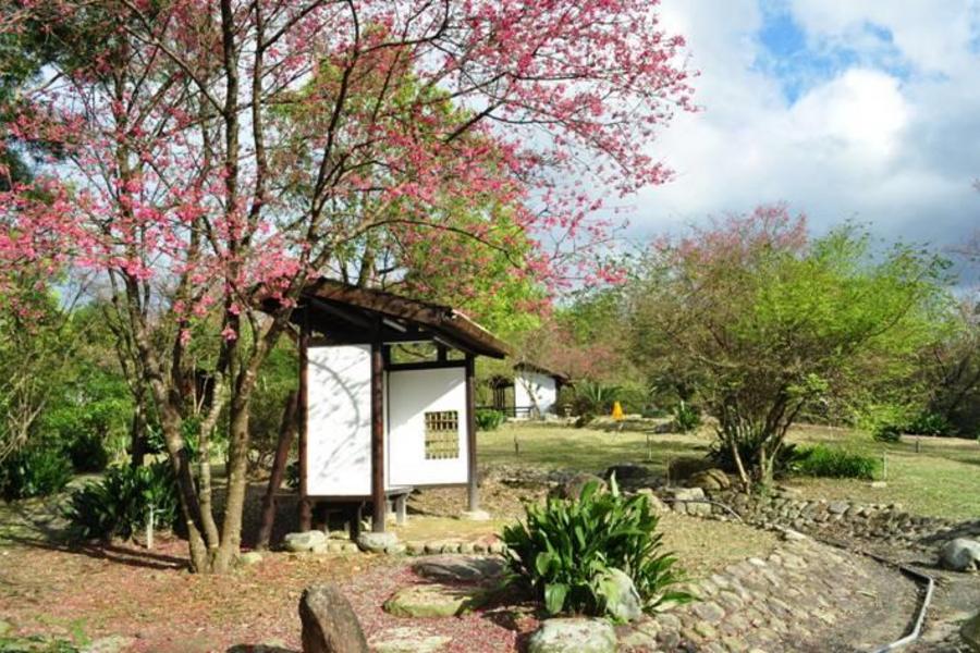 東南賓士車.仁山植物園.林美石磐步道森呼吸一日遊