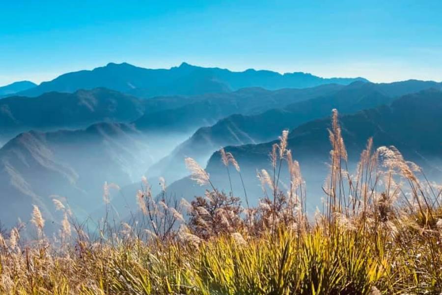 阿里山綠海森林、奮起湖檜意活村懷舊風 、墾丁藍色海岸高雄愛河智選假期三日