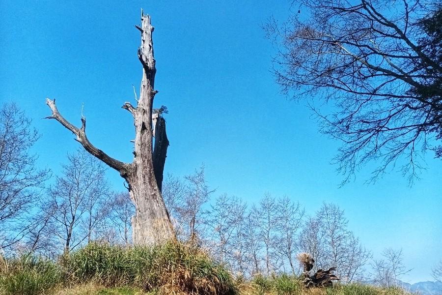 【尊爵環島】台東縱谷、墾丁高雄蓮池潭、阿里山新中橫溫德姆頂級湯饗五日