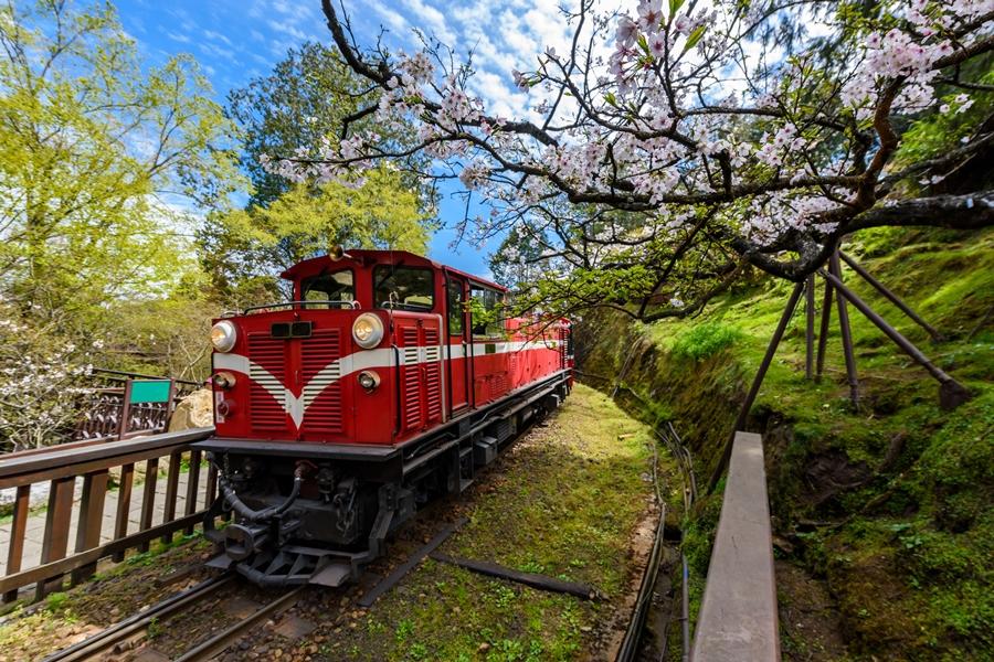 【阿里山森鐵】嘉義梅山太平雲梯、故宮南院、奮起湖、檜意森活村高鐵三日