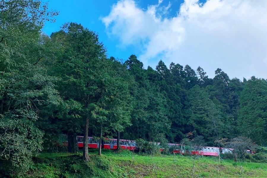 台東縱谷藝術、南迴太麻里枋寮藍色海岸、台南美食探索、阿里山綠海森鐵五日