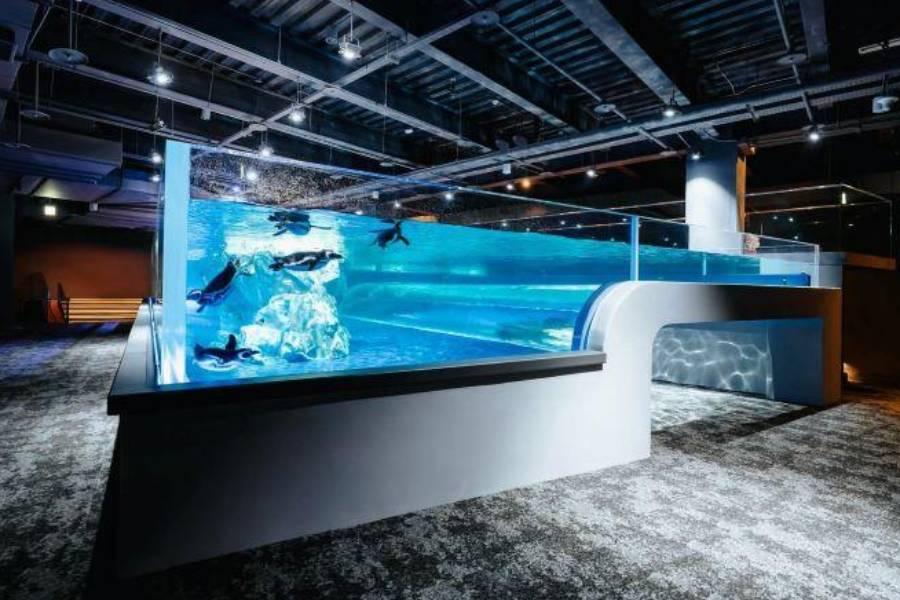 【五星典藏】苗栗銅鑼茶香、台中海洋館、竹山瑞龍瀑布、溪頭米堤歐風三日